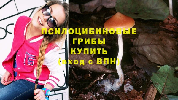синтетический гашиш Балахна