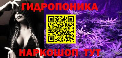 крисы Партизанск