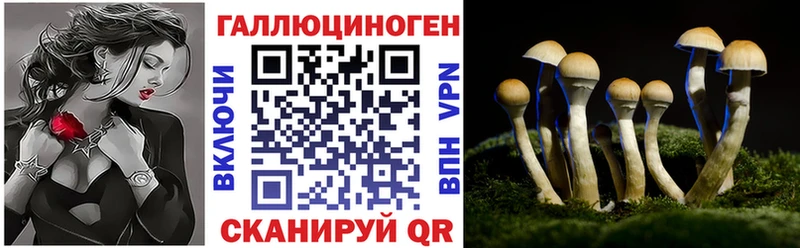 даркнет сайт  Губаха  Псилоцибиновые грибы MAGIC MUSHROOMS 