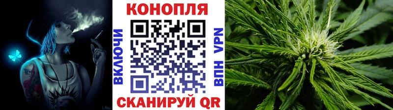 Бошки марихуана MAZAR  Губаха 