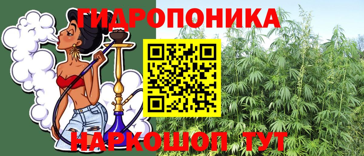 Губаха  Шишки марихуана SATIVA & INDICA  Вход с VPN  Канабис гибрид 